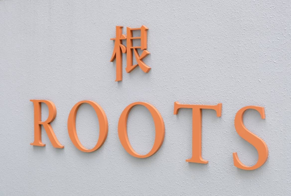 Roots@Transit
